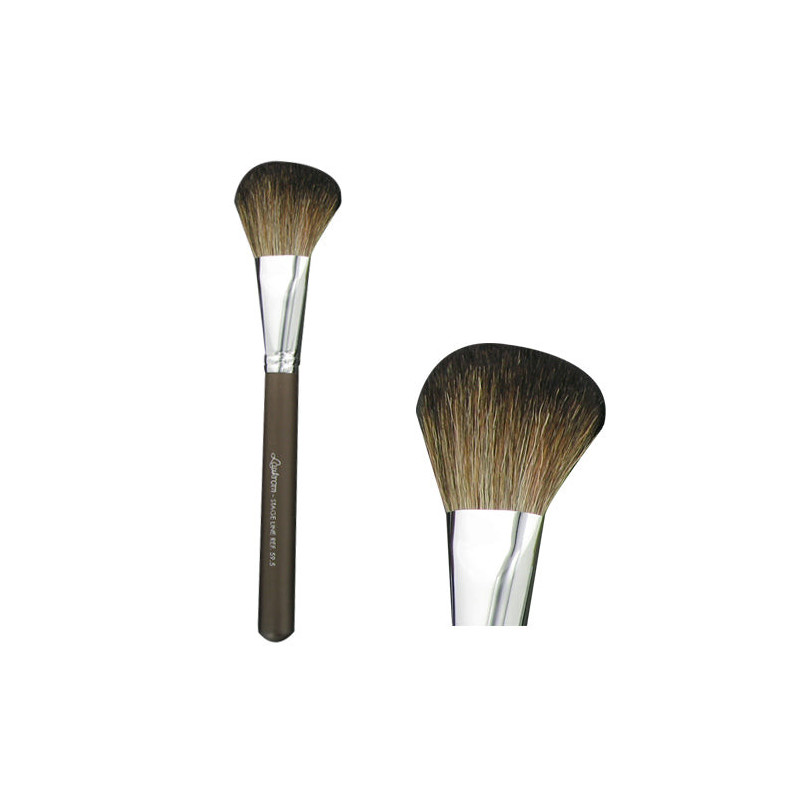 Pinceau maquillage, poudre, professionnel