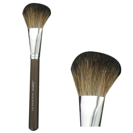 Pinceau maquillage, poudre, professionnel